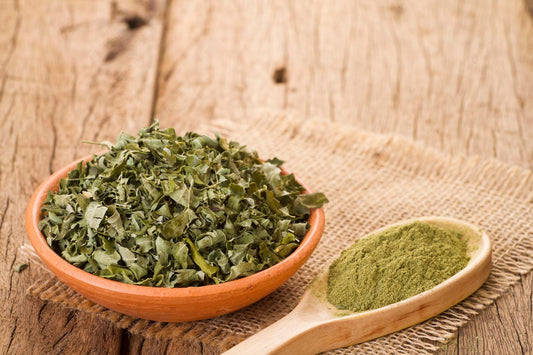 Benefits of Moringa powder