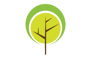 Life of a Tree 