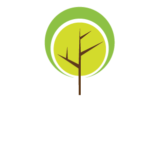 Life of a Tree