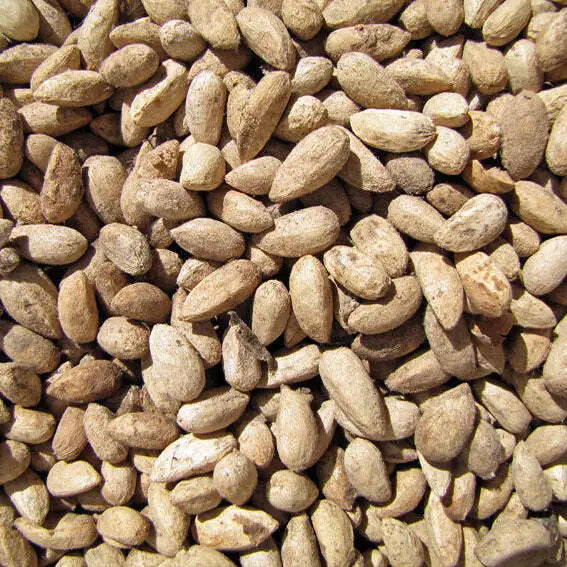 Organic Neem Oil – Extra Virgin, Cold-Pressed for Skin, Hair & Natural Care