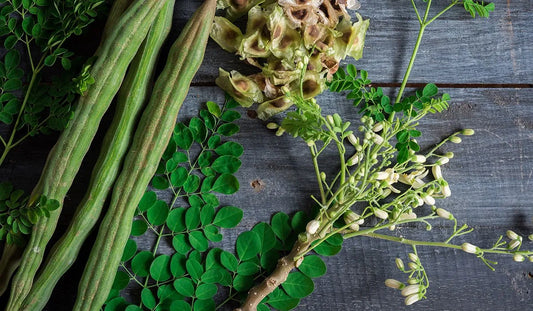 Three Healthy Moringa Recipes